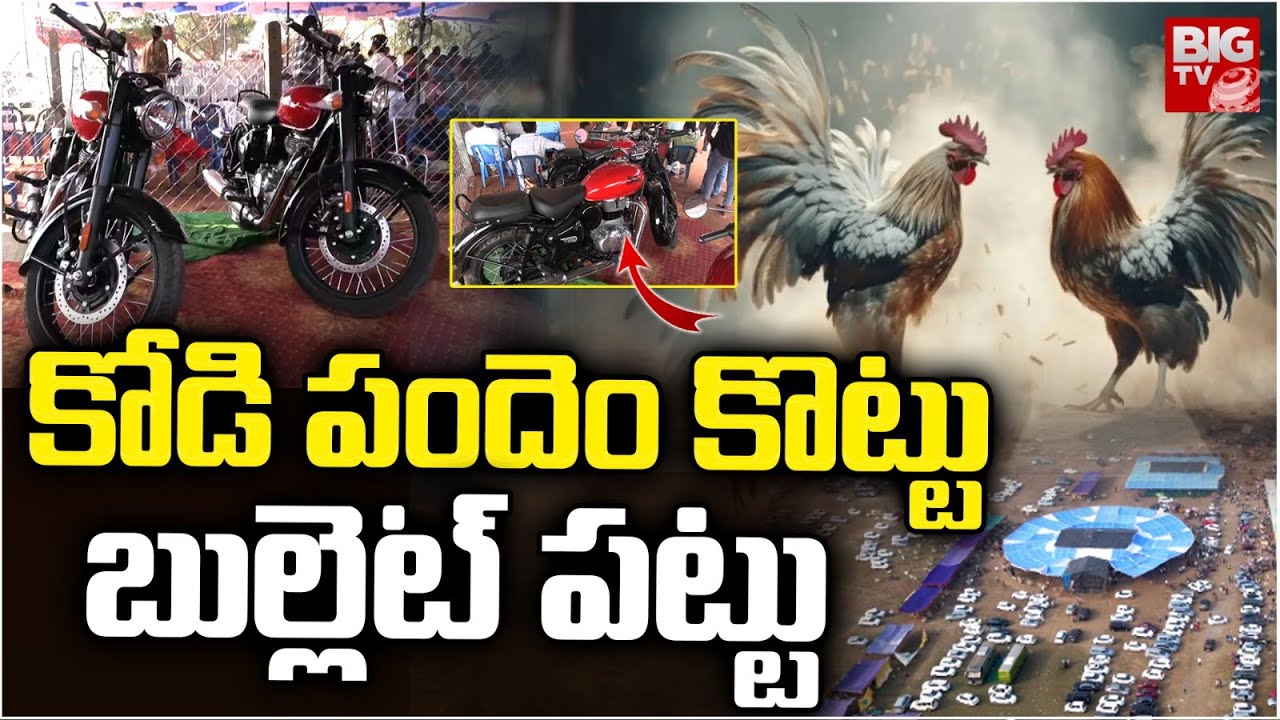 పందెం కొట్టు.. బుల్లెట్ పట్టు | Bullet Bike For Kodi Pandalu Winners | Sankranthi | BIG TV
