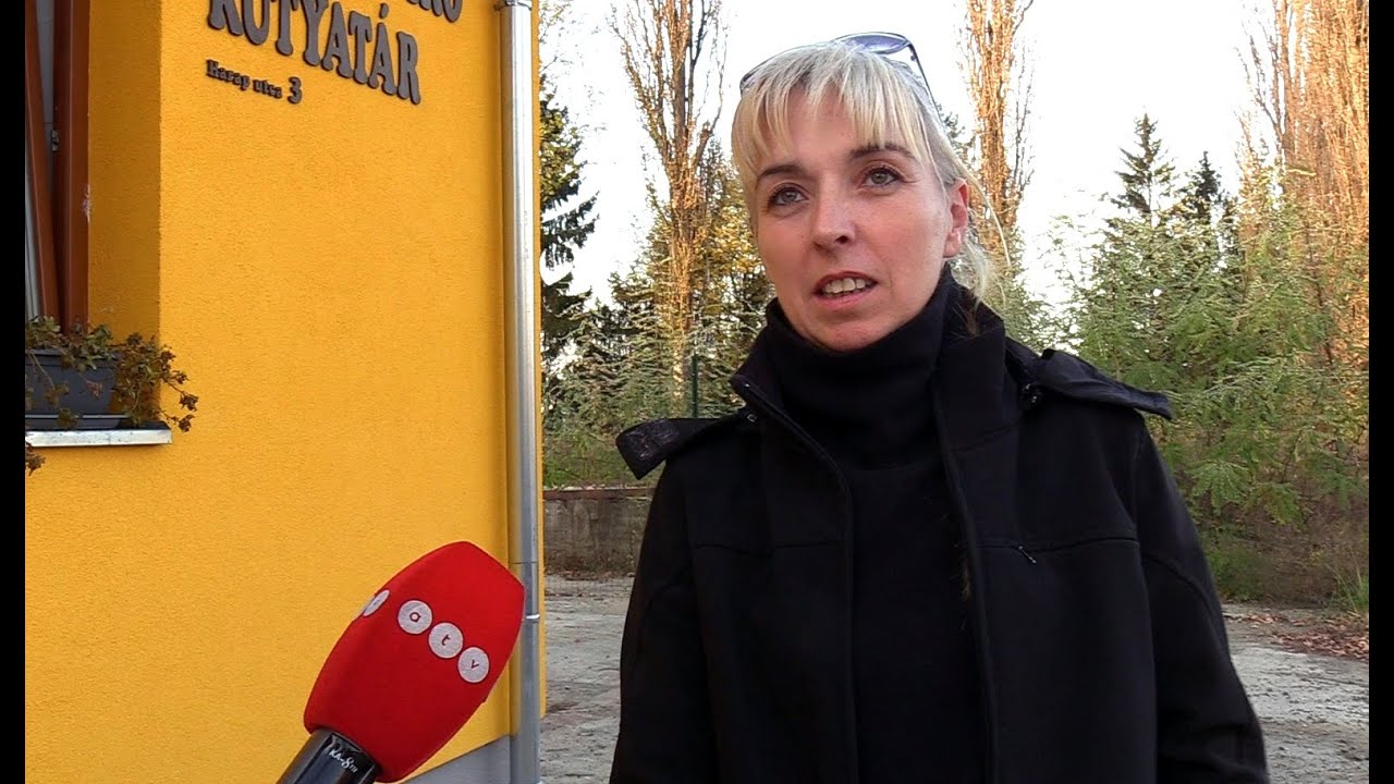 TILOS LESZ A KUTYAPIAC