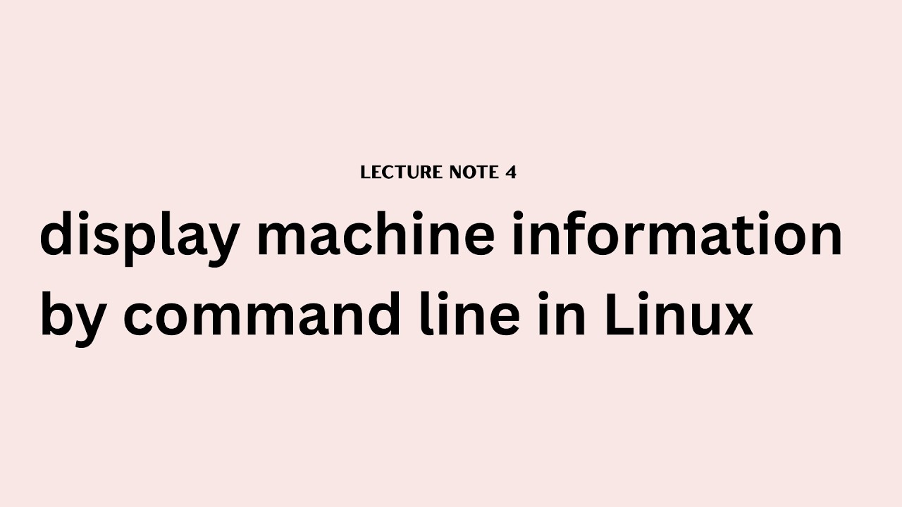Lecture Note 4 | How to display machine information by command line in Linux
