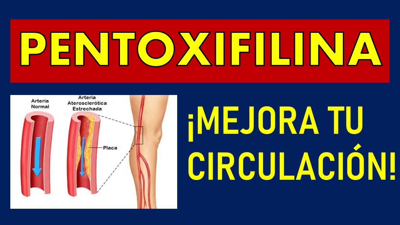 🔴 PENTOXIFILINA | PARA QU&Eacute; SIRVE, EFECTOS SECUNDARIOS, MECANISMO DE ACCI&Oacute;N Y CONTRAINDICACIONES
