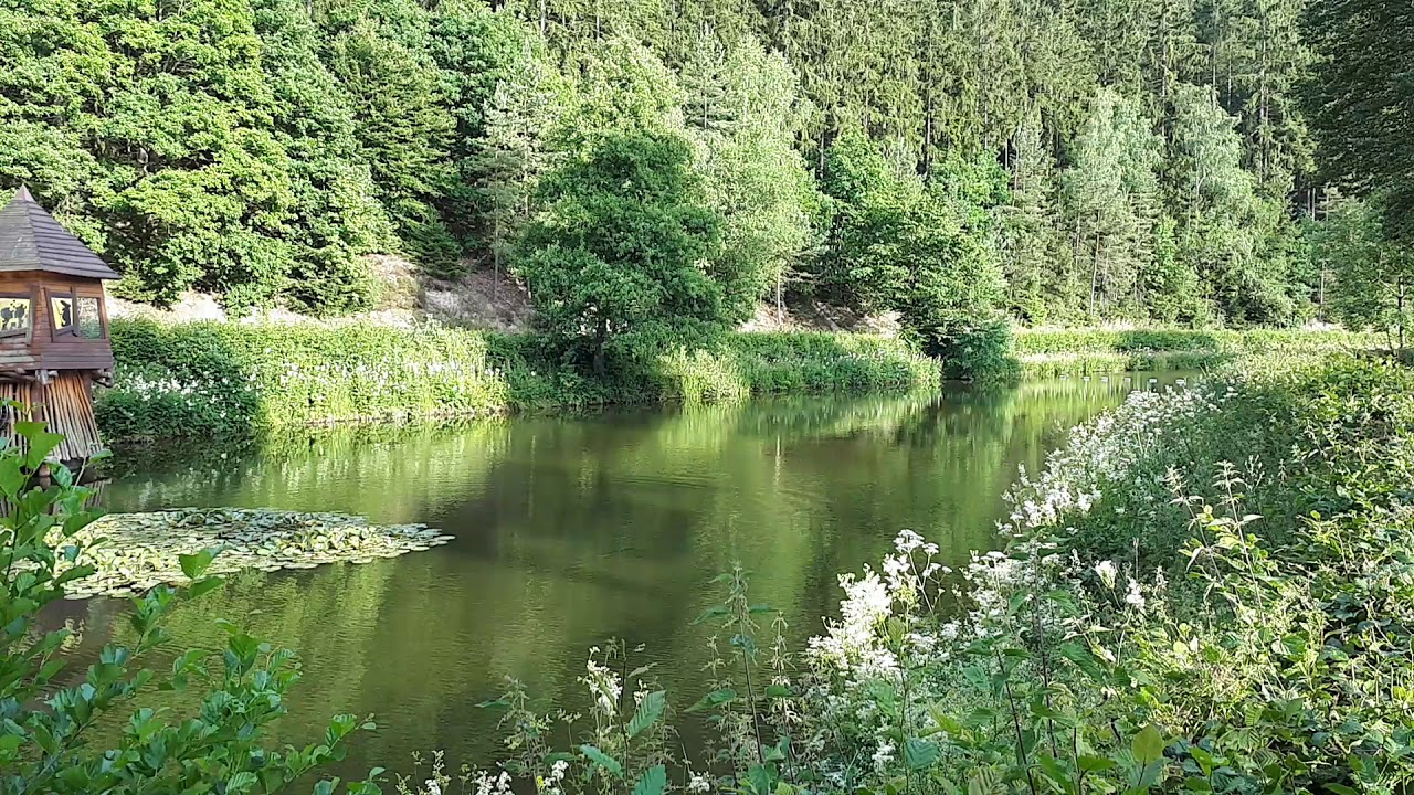 Uitzichttoren Heilbachsee