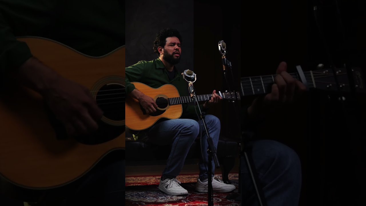 Martin OM-28 2015 | Patrick Blancos | &ldquo;Make You Feel My Love&rdquo; (Dylan) | Zanon Guitars