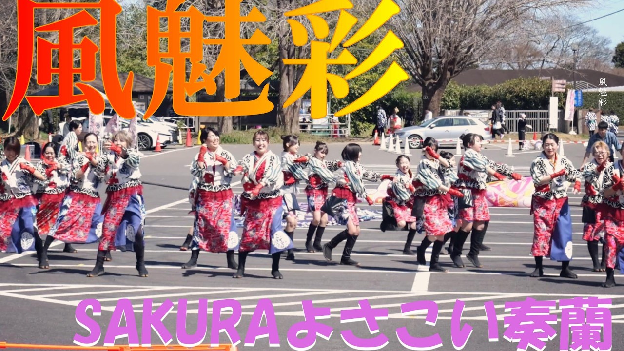 編集版📍【4K24p】風魅彩「縁昇」★SAKURAよさこい奏蘭/佐倉城址公園/第一部/2026.03.15