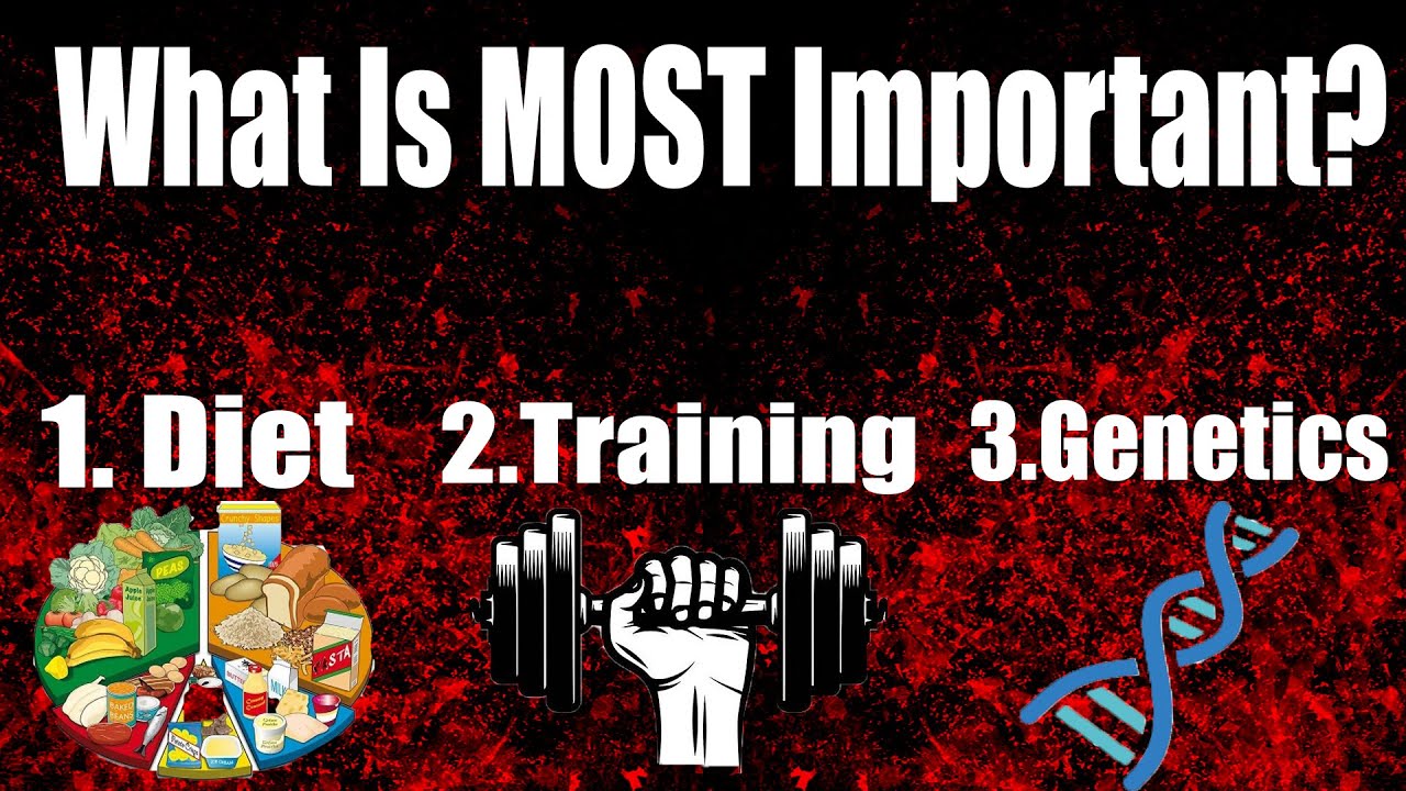 Which is MOST Important? Diet, Training, or Genes?