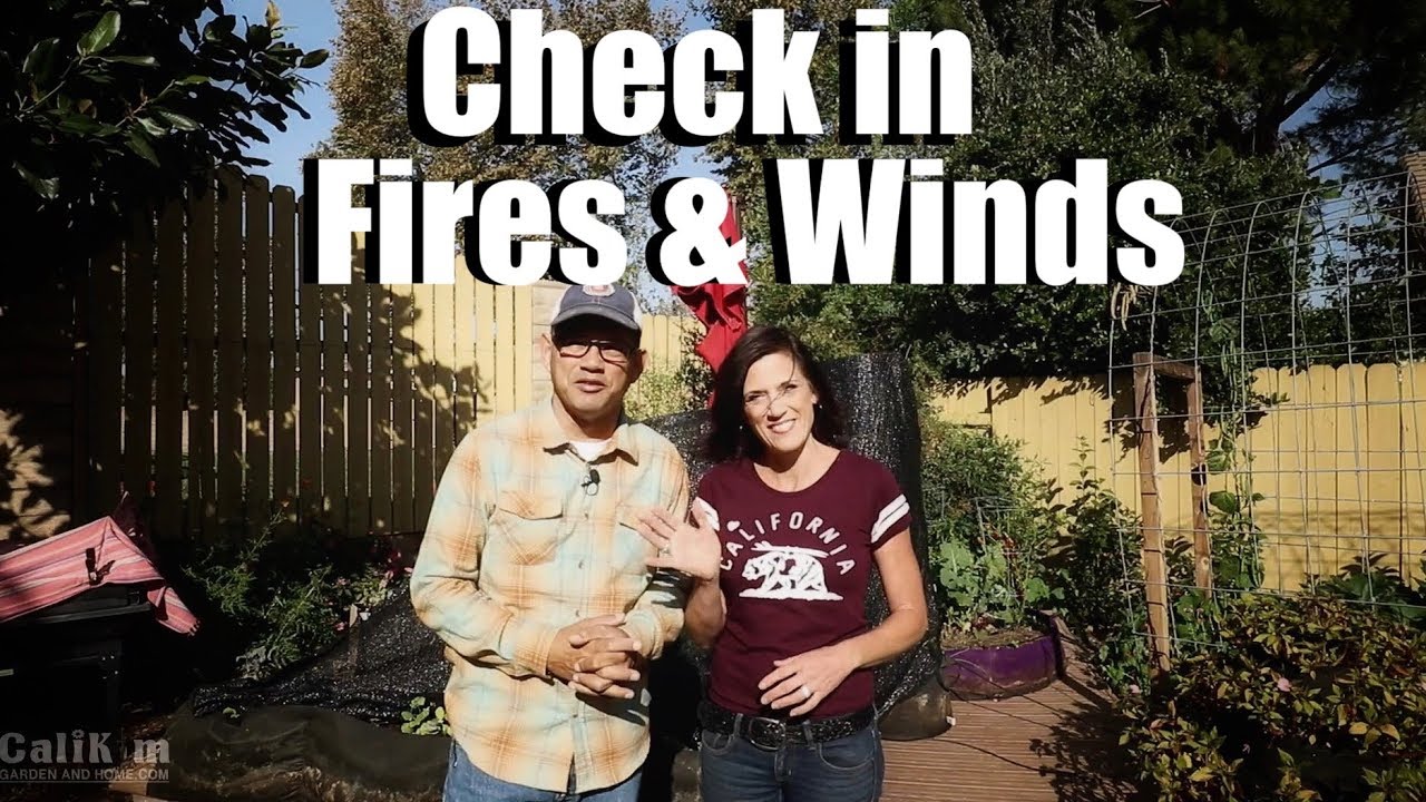 Fires, Wind, Check In // Beyond the Garden #5