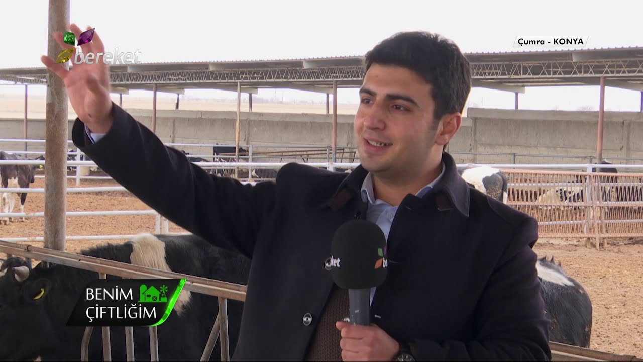 @BereketTV  Benim Çiftliğim - Besi Hayvancılığına Giriş