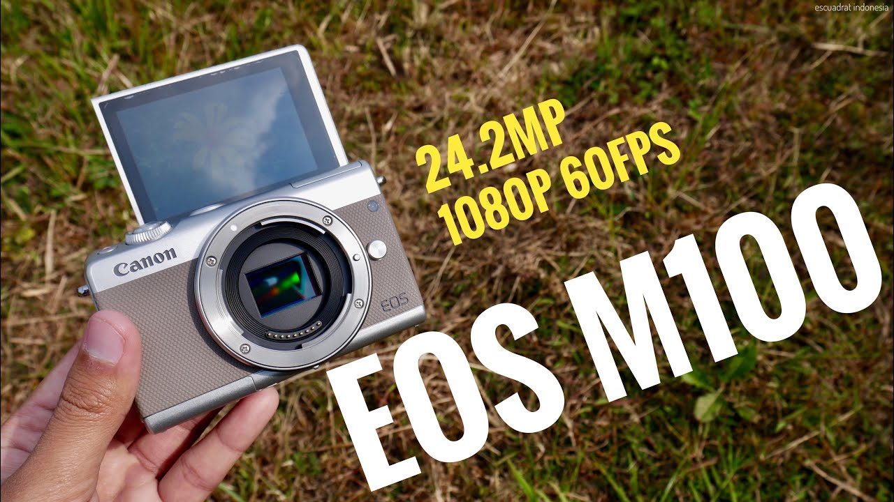 Mirrorless Canon EOS M100 indonesia, Saya menyukainya !!