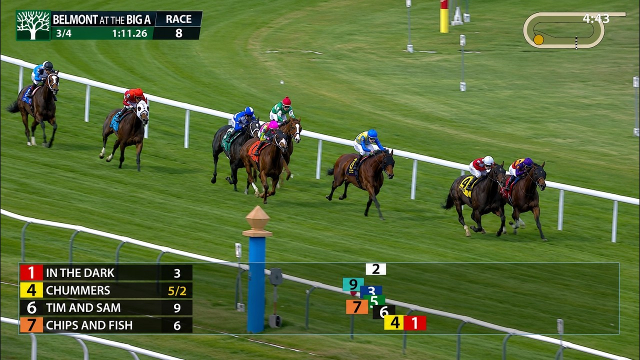 🏇 Belmont at the Big A Full Race Replays June 19, 2026 | All 8 Races, Results & Huge Payouts