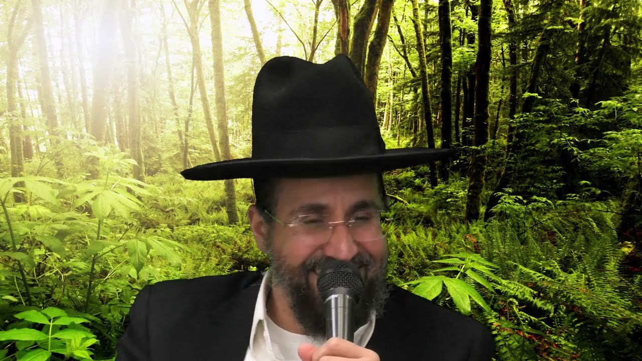 סוד🔥מה שעובר עליך אתה ביקשת💪💪💪שער הבטחון 