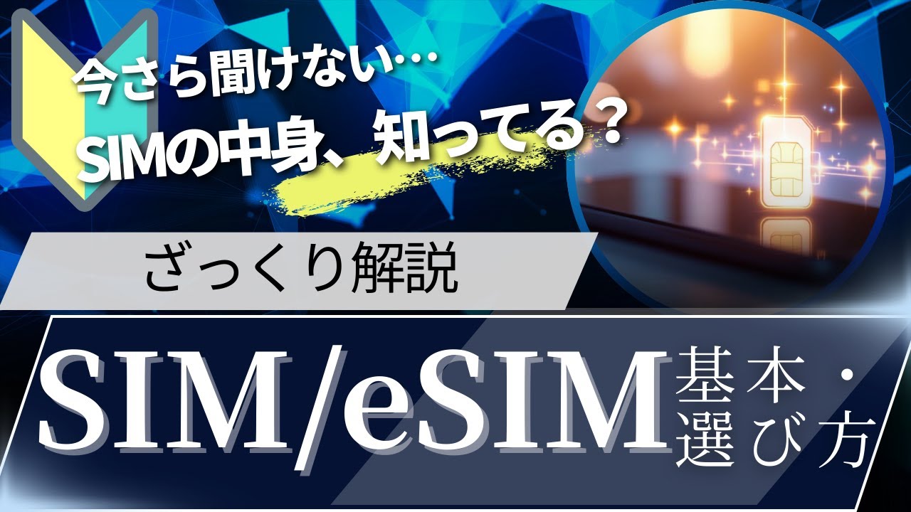 【今さら聞けない】SIM/eSIMの基本・選び方をざっくり解説