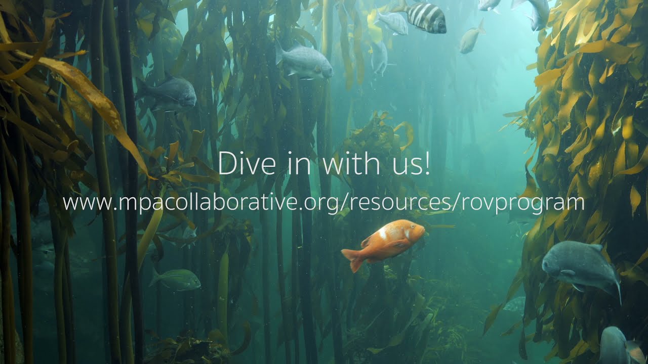 Dive In with the MPA Collaborative Network and Mini-ROVs