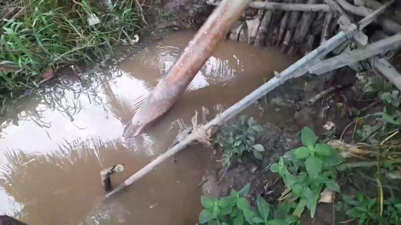 Chiếc động cơ điện hút nước ruộng ra sông liên tục gây hao mòn các vòng bi nhông máy