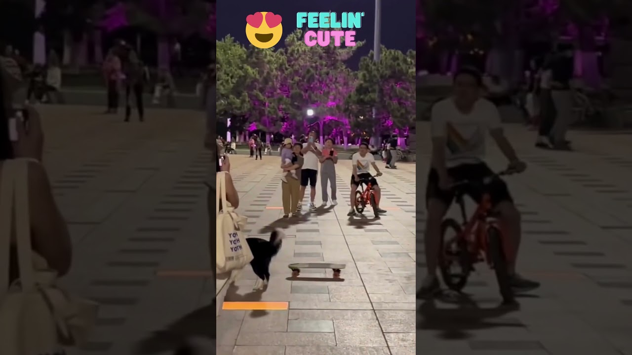 30 Seconds Of Funny Animals 2023 😅 Best Animals Videos 🐶