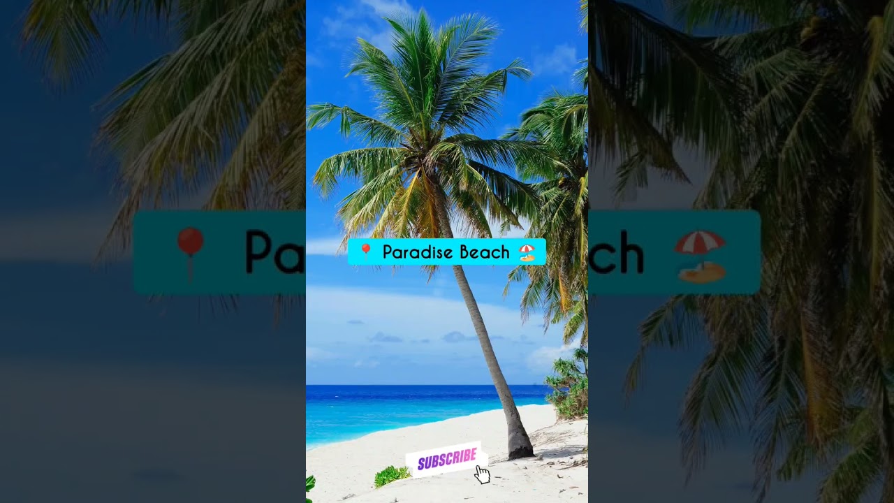 🤯 5 Best Beaches To Explore In Pondicherry 📍😍 !! #shorts #travel #beach #pondicherry