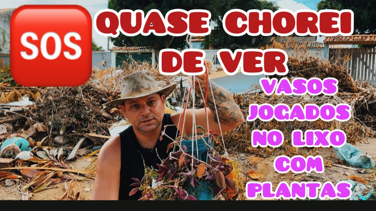 MAIS UM RESGATE DE PLANTAS JOGADAS NO LIXO, DESSA VEZ QUASE CHOREI.