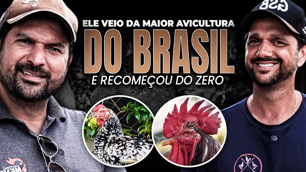 Veio da AVICULTURA INDUSTRIAL e recomeçou na GALINHA BALÃO
