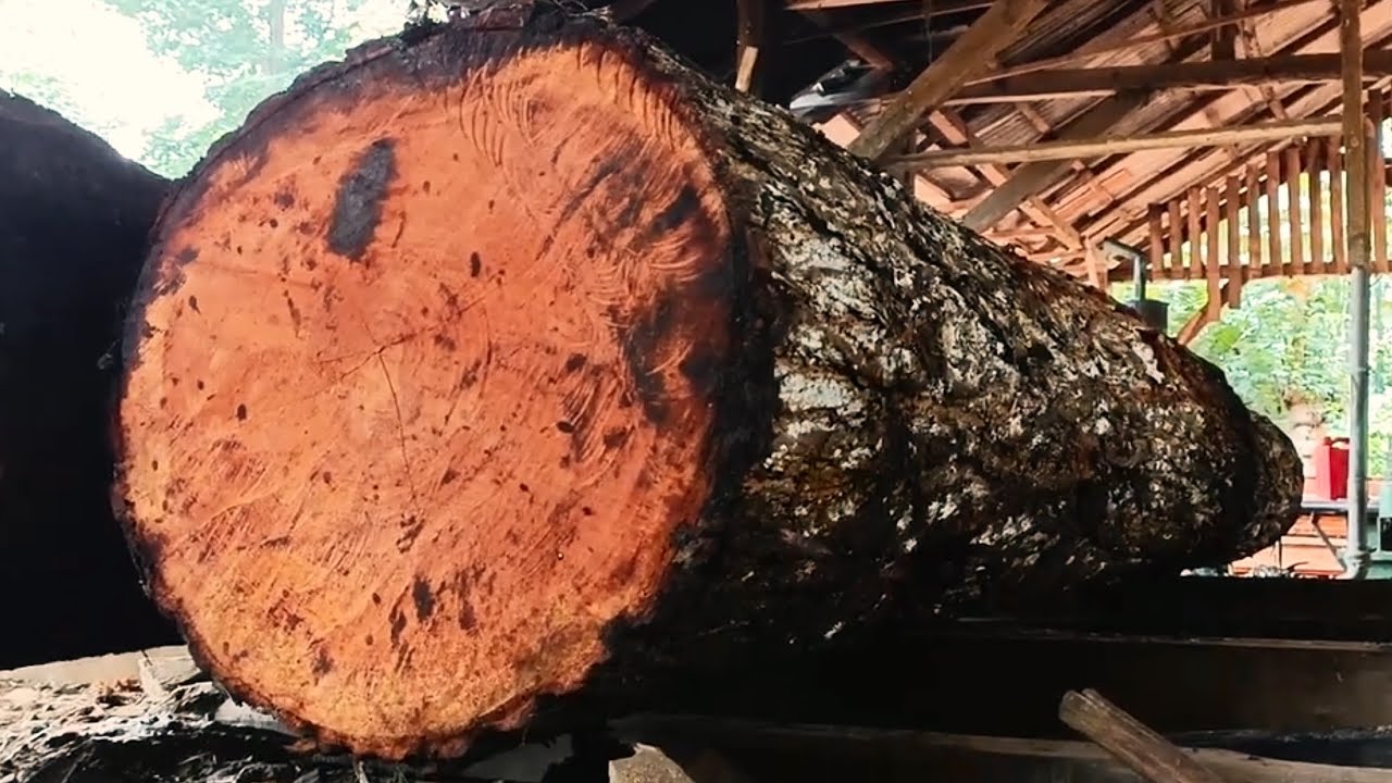 Between exotic and perfectly round || sawmill 