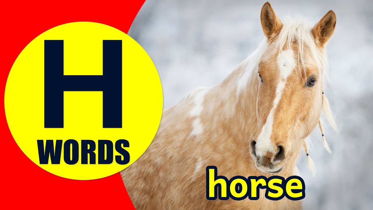Words Starting With H - Learn Words that Start with H Sound
