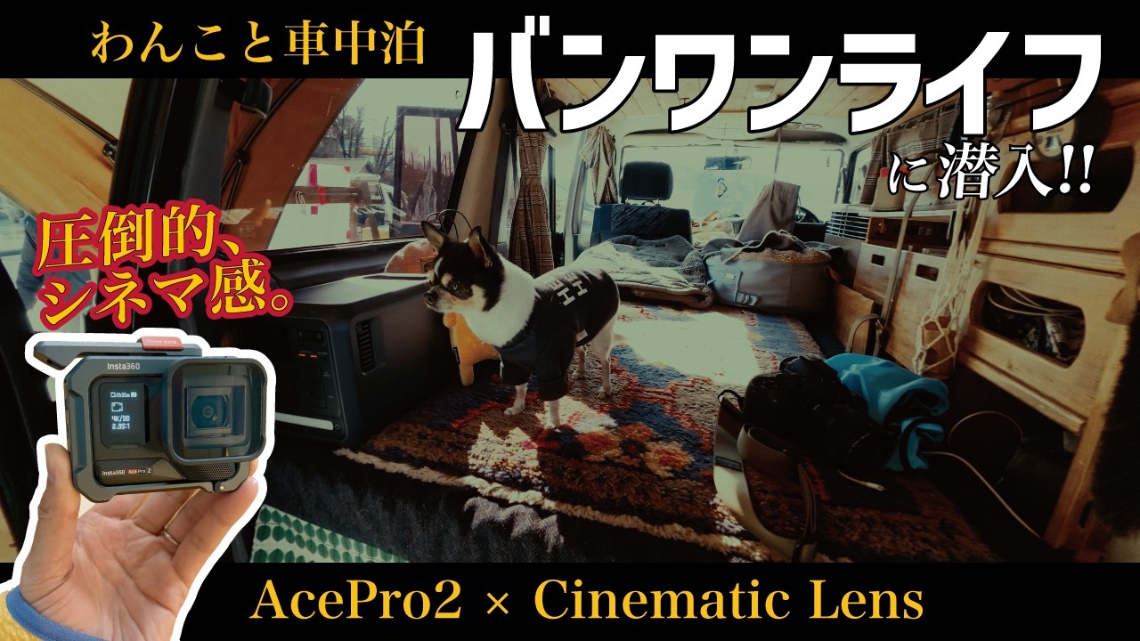 【Ace Pro 2 作例】シネマティックレンズとLog撮影で切り取る、犬連れ車中泊イベント「VAN WAN LIFE」の裏側。