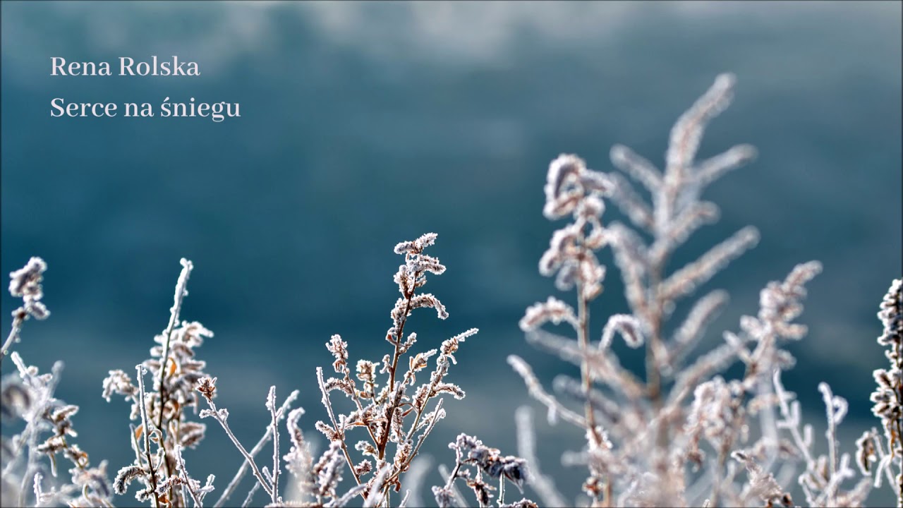 Rena Rolska - Serce na śniegu [Official Audio]
