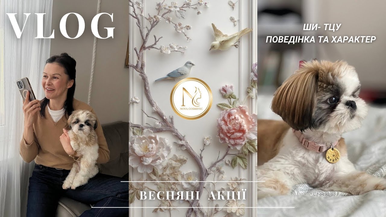 Весняні АКЦІЇ 🌸🔥ДОГЛЯД за собакою🐶🧺Відгук про закінчені засоби