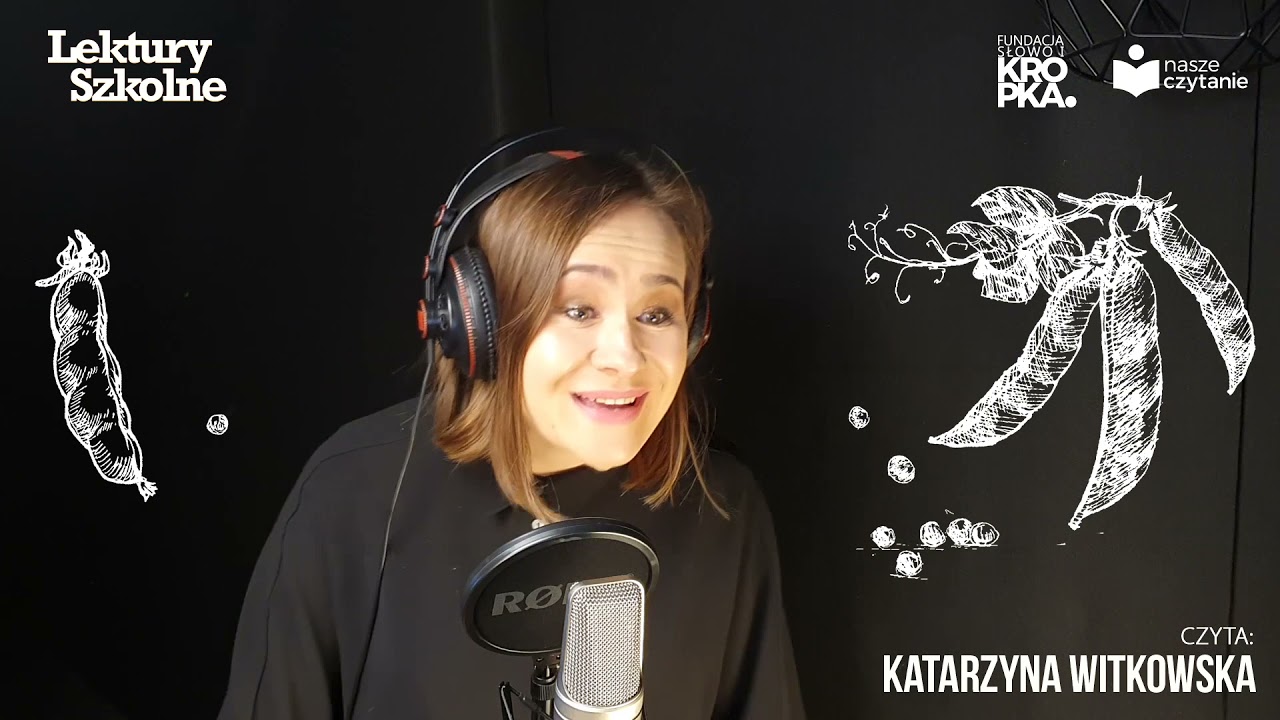 Pięć ziarnek grochu - H. C. Andersen - baśń (czyta Katarzyna Witkowska) 📘