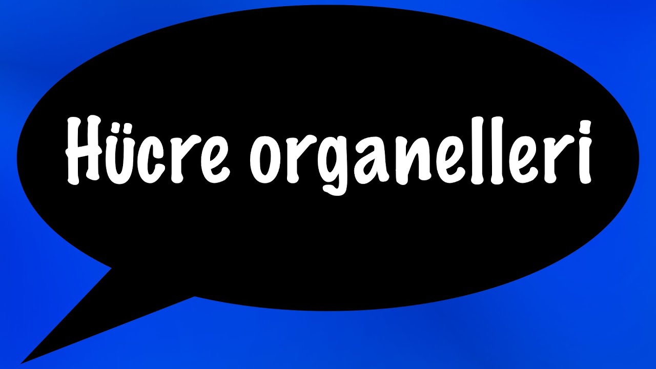 H&Uuml;CRE ORGANELLERİ , MİTOKONDRİ, RİBOZOM , KLOROPLAST, LİZOZOM, PEROKSİZOM, ENDOPLAZMİK RETİKULUM ,