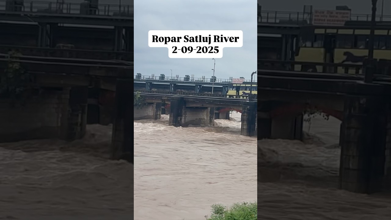 Flood report Ropar Punjab⛈️ 