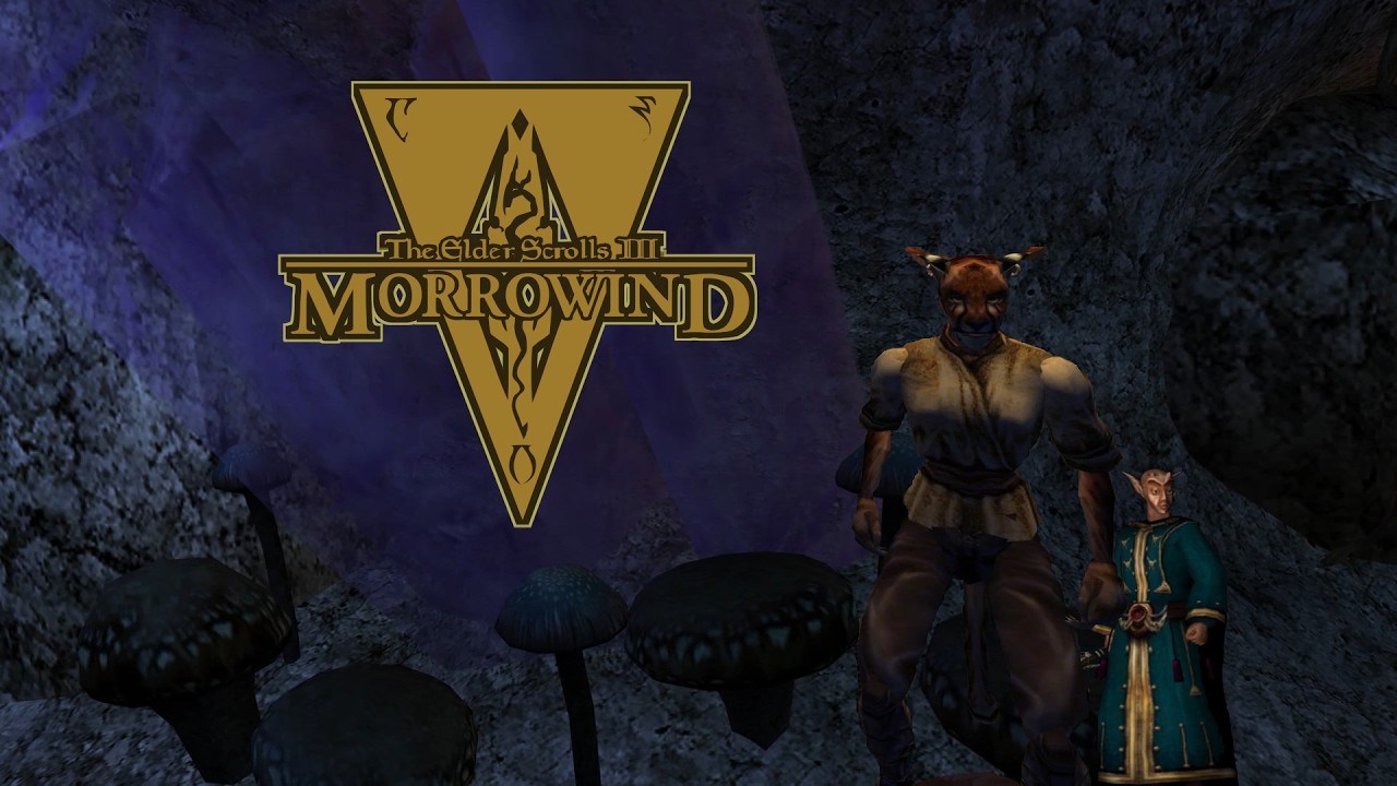 Liv Elf The Avenger - Morrowind OpenMW VR Permadeath
