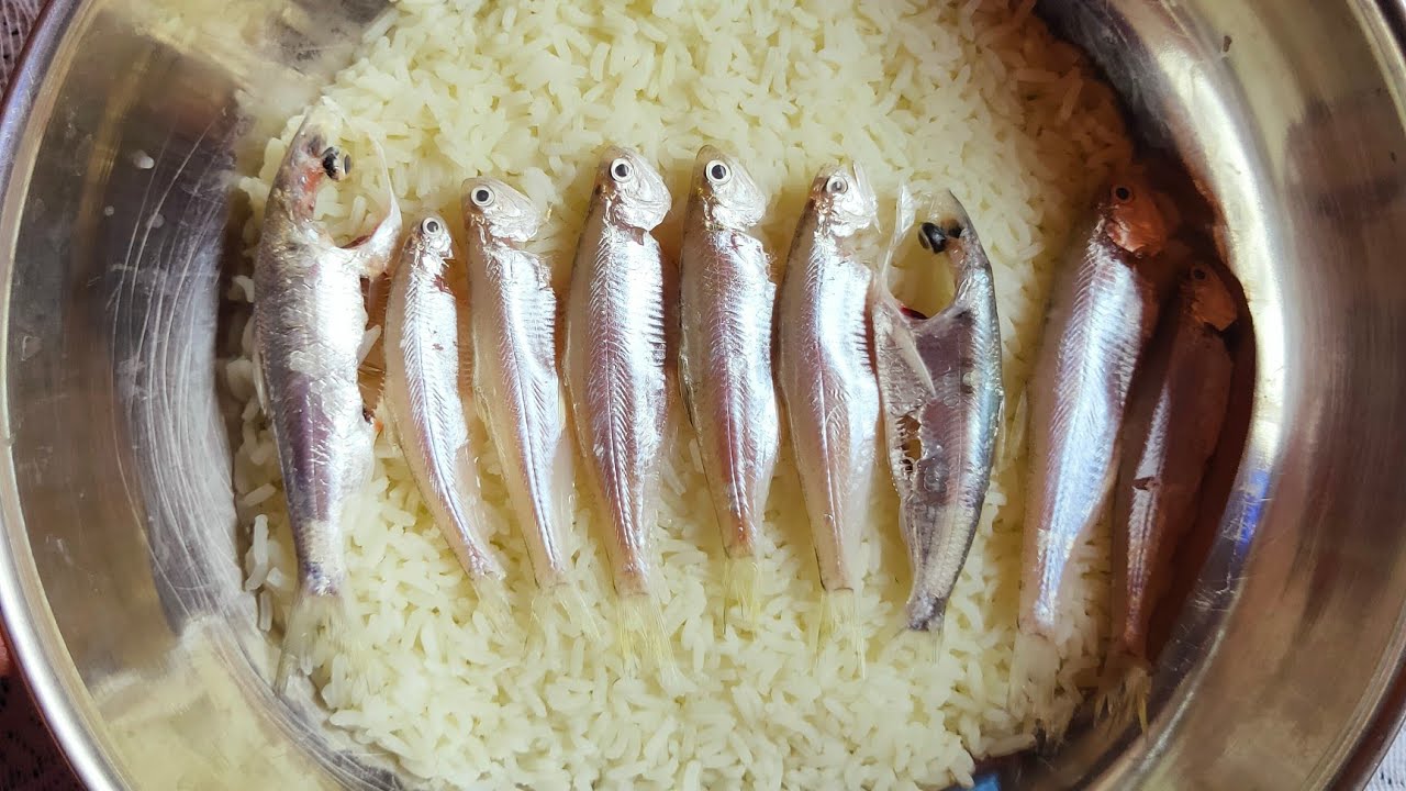 Chinese Style Rice Fish And Veggis mix fried So yummy