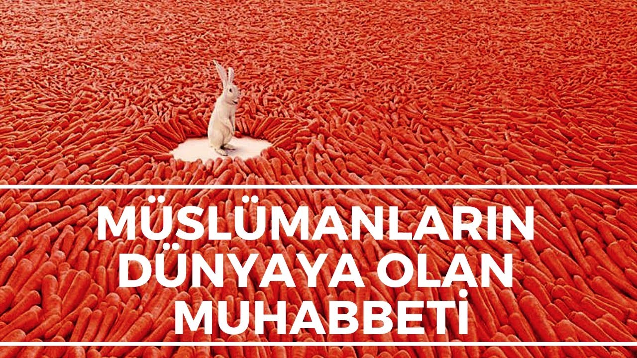 Risale-i Nur Dersi - Müslümanların Dünya’ya Olan Muhabbeti