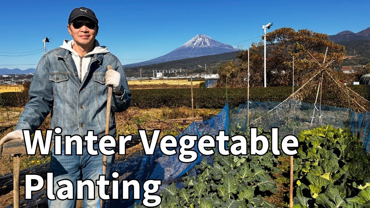Productive Day on the Farm PART 2 | Planting Bok Choy, Peas & Other Winter Vegetables