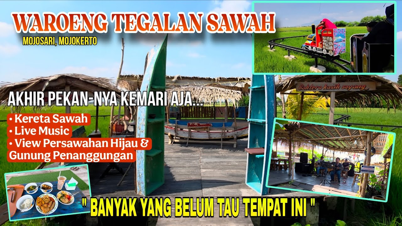 COBAIN KEMARI‼️WAROENG TEGALAN SAWAH, SEBAGUS INI TEMPATNYA
