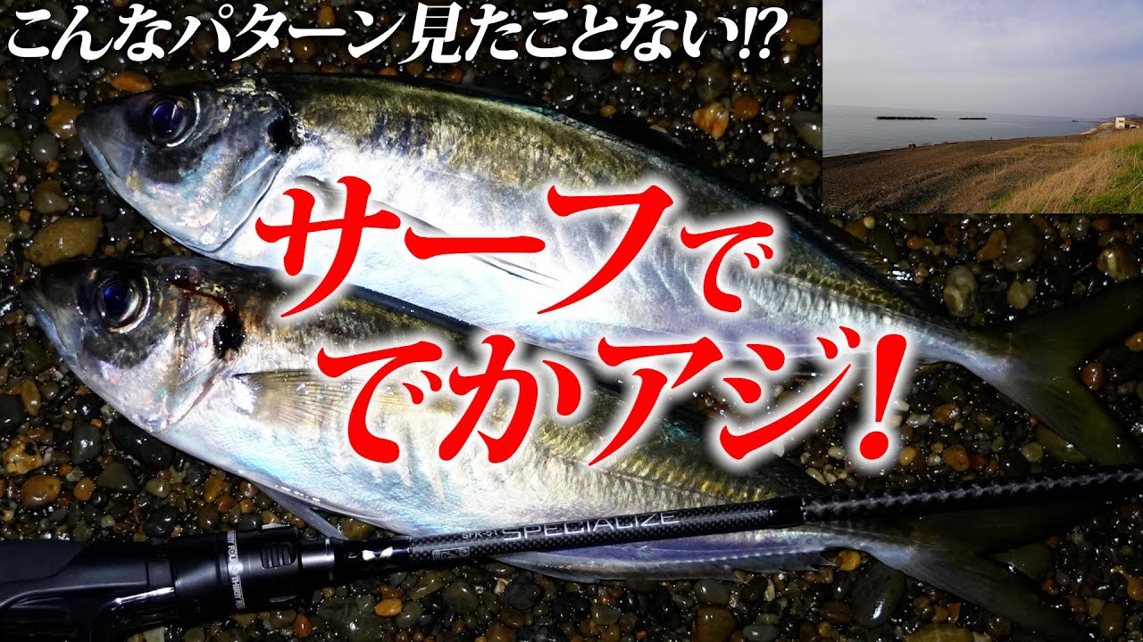 【超スゴイ穴場！／サーフ】シャローのでかアジ攻略／未開拓な海岸線が延々と続くアジの宝庫！／新潟県～家邊克己（やべ・かつみ）