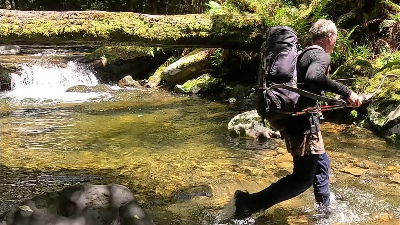 Hunting deer in the summer rain