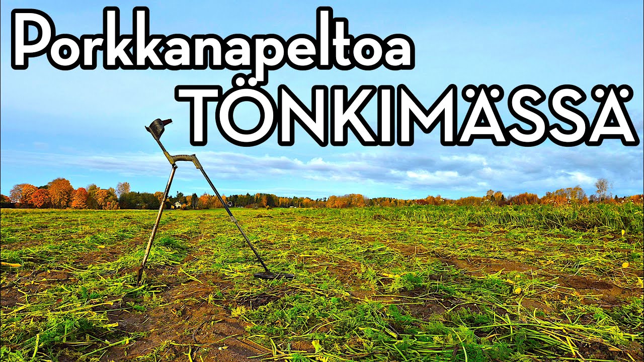 Aarrejahdissa porkkanapellolla! Keskiaikaa ja hopeaa juuresten seasta metallinpaljastimella