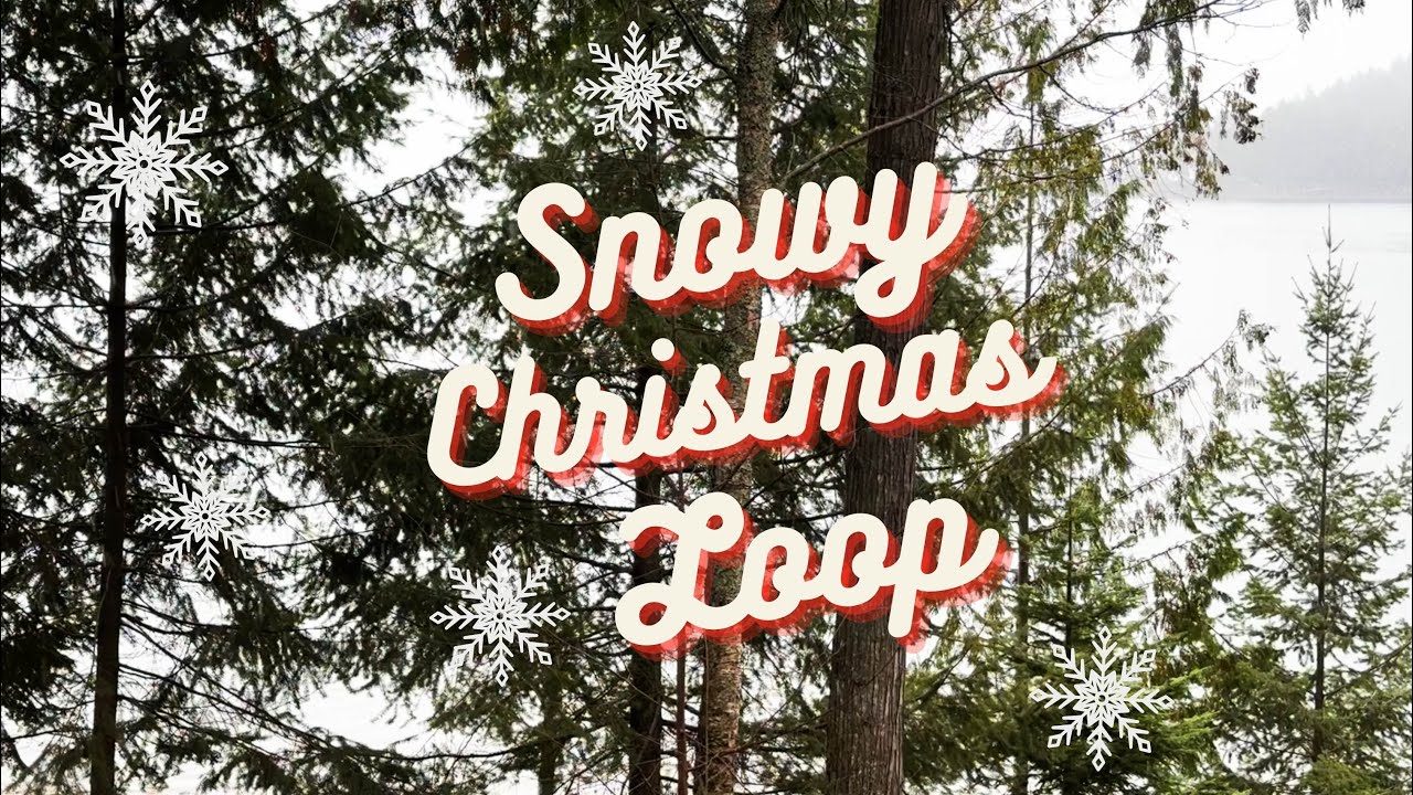 Snowy Christmas Forest Background | Relaxing Nature Loop with Holiday Music