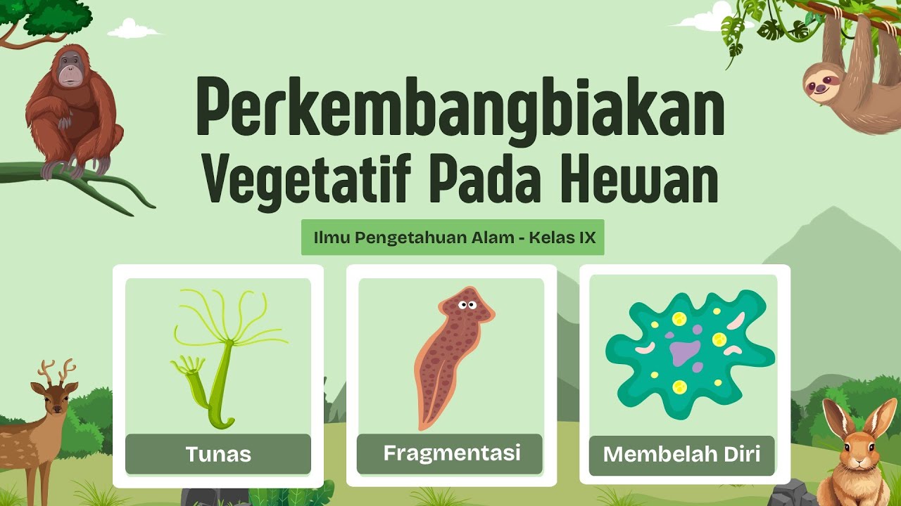 Perkembangbiakan Vegetatif Pada Hewan (Tunas, Fragmentasi, Membelah Diri) IPA Kelas 9 (Bio Sains)