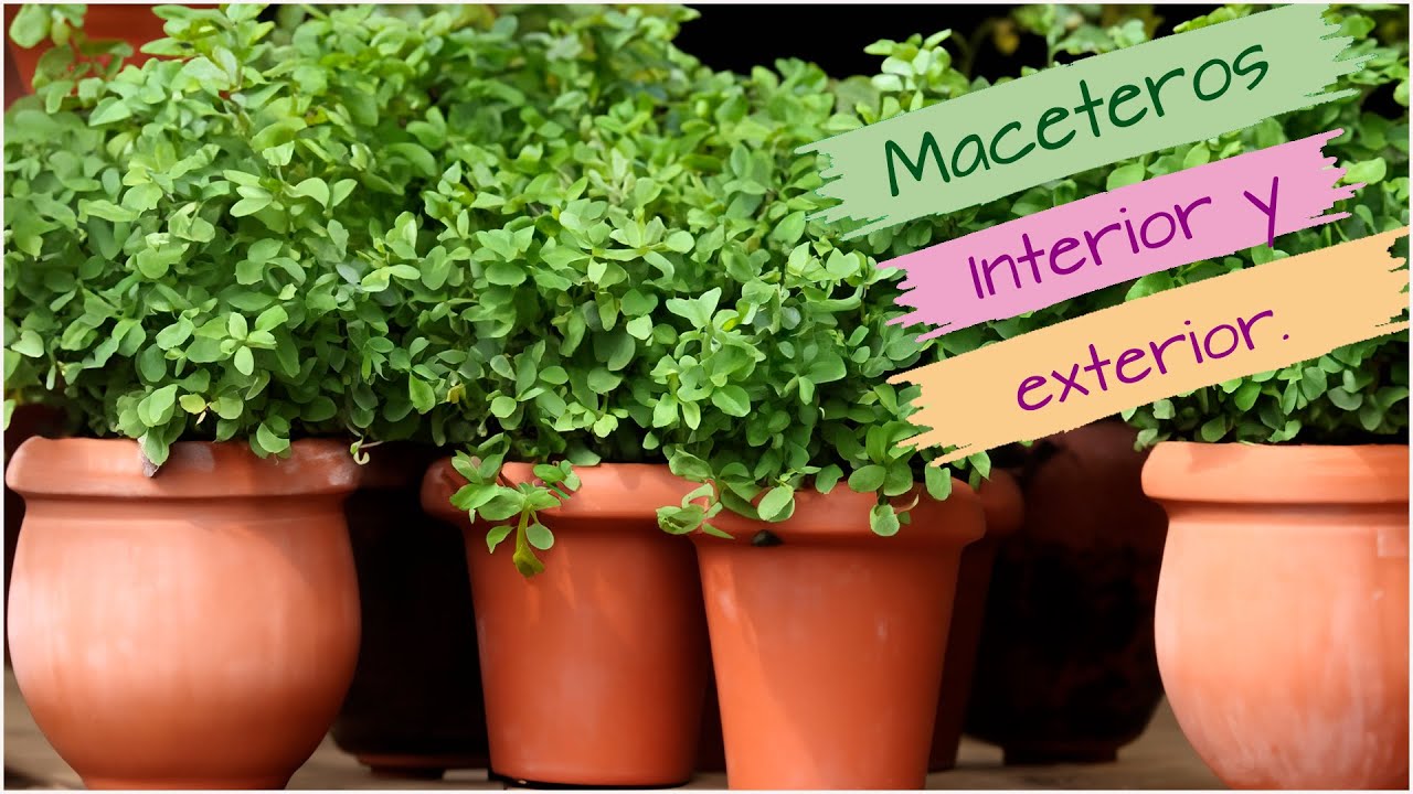 ✅Ideas fáciles para crear MACETEROS DE EXTERIOR E INTERIOR   Ideas RECICLANDO