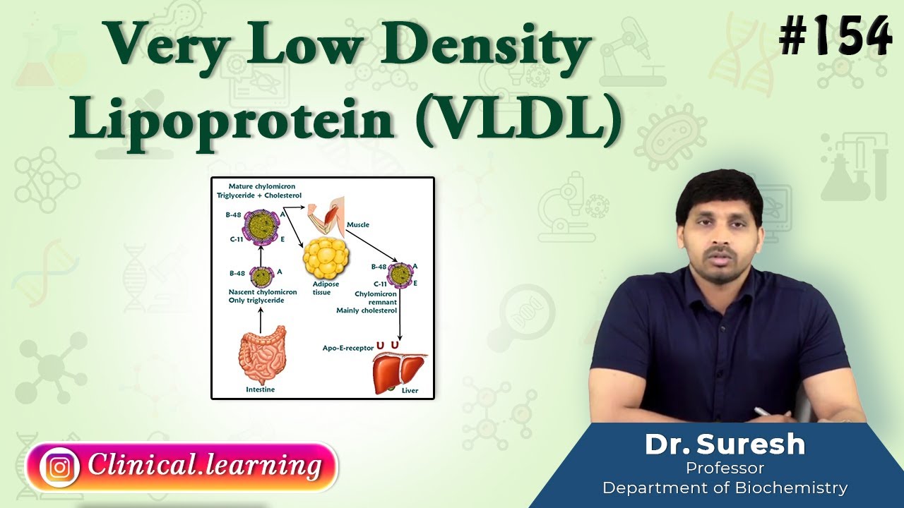154. Very Low Density Lipoprotein (VLDL)