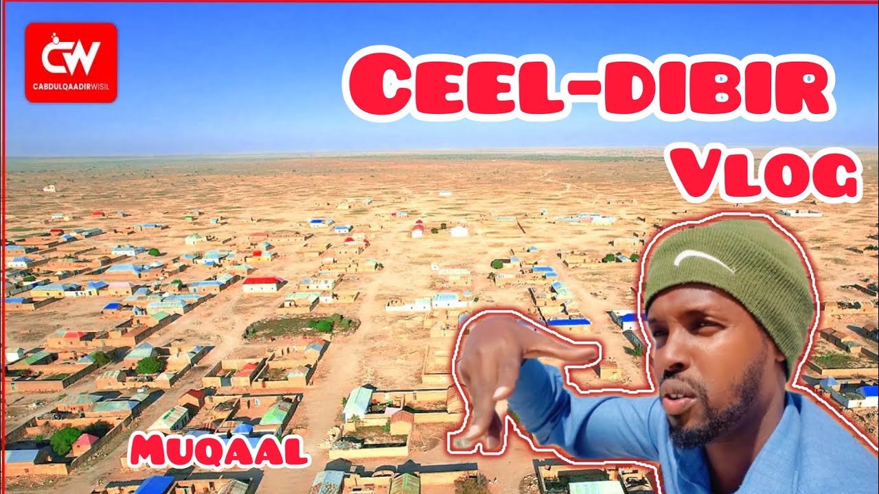 Ceel-dibir muqaal vlog warbixin