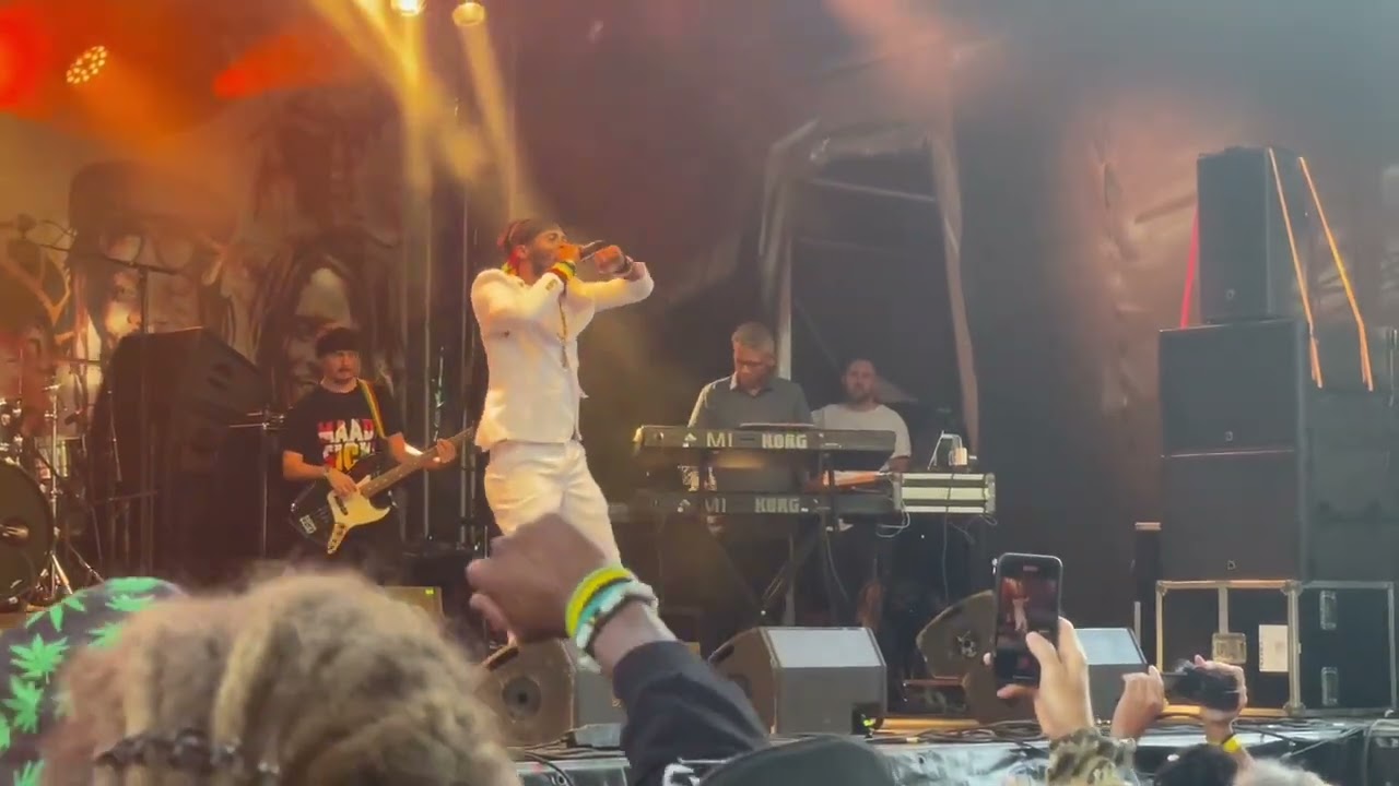 Natty King - No guns to town