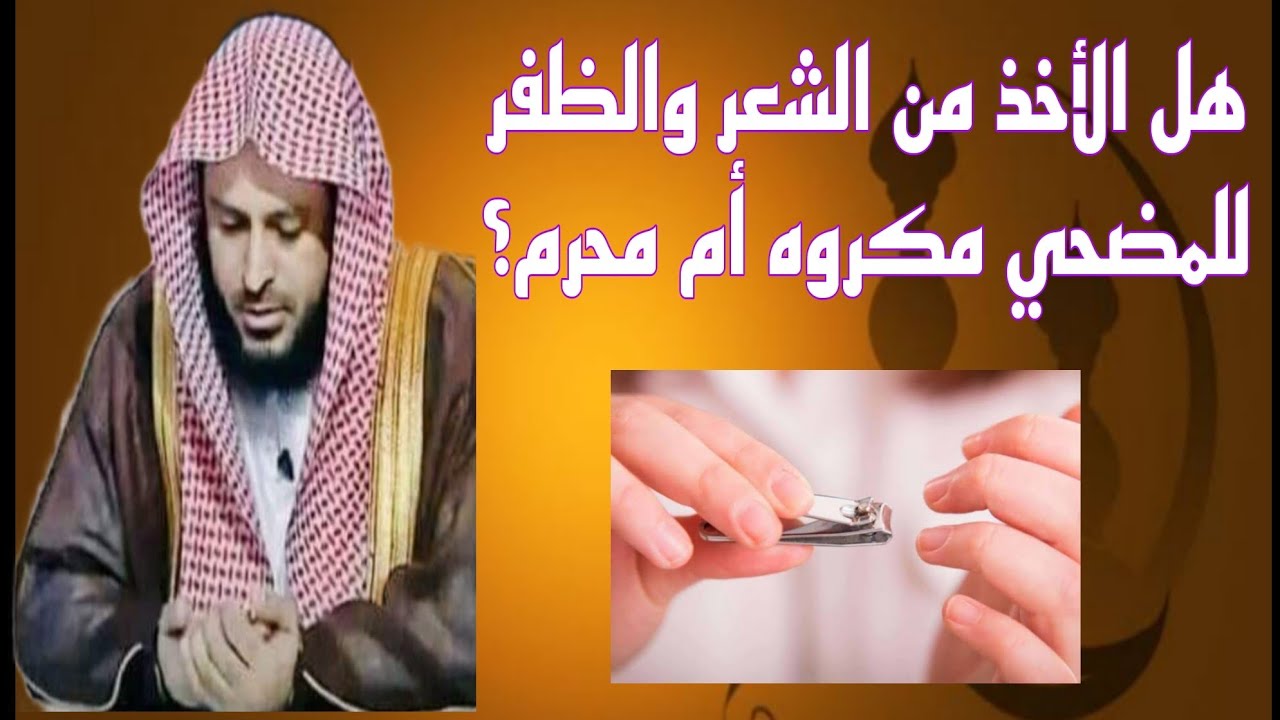 هل الأخذ من الشعر والظفر للمضحي مكروه أم محرم ؟؟ مهم العلامة الطريفي