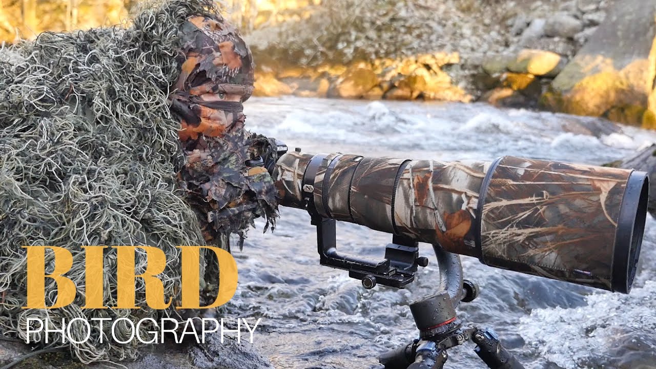 BIRD PHOTOGRAPHY to the EXTREME || My best dipper picture - camouflage, in the field