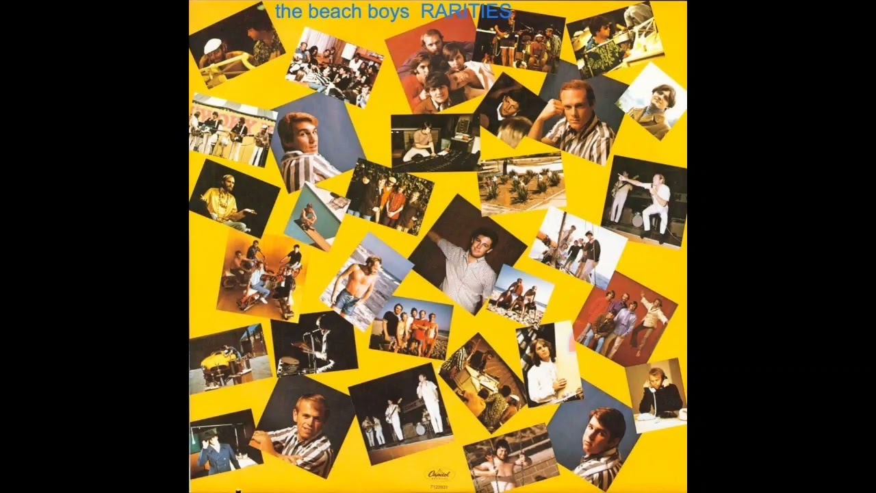 the beach boys Introduction to pet sounds/wouldn't it be nice