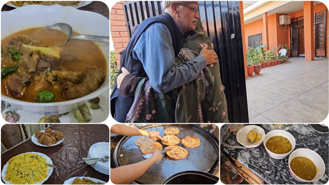 Abu Ji Ki appointment Multan main! Phopo ke ghar Lunch! Bhai Farm ke liye Animals! Totta urr gaya!