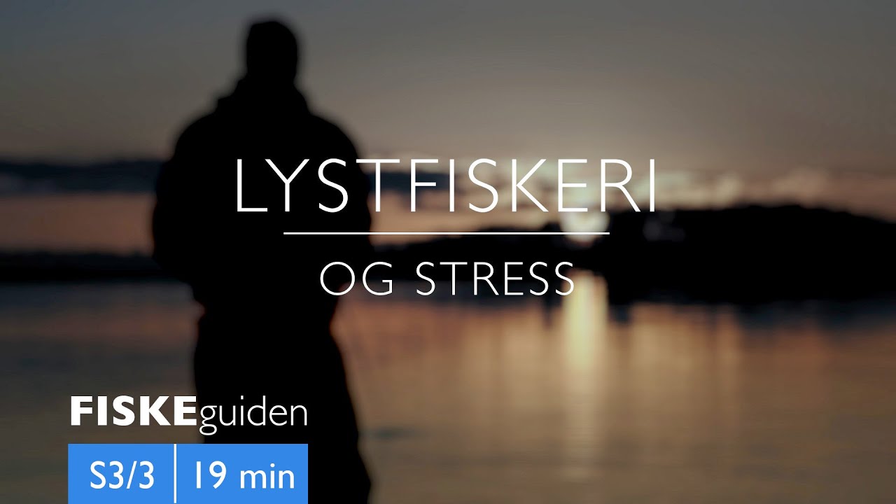 FISKEguiden: Lystfiskeri og stress
