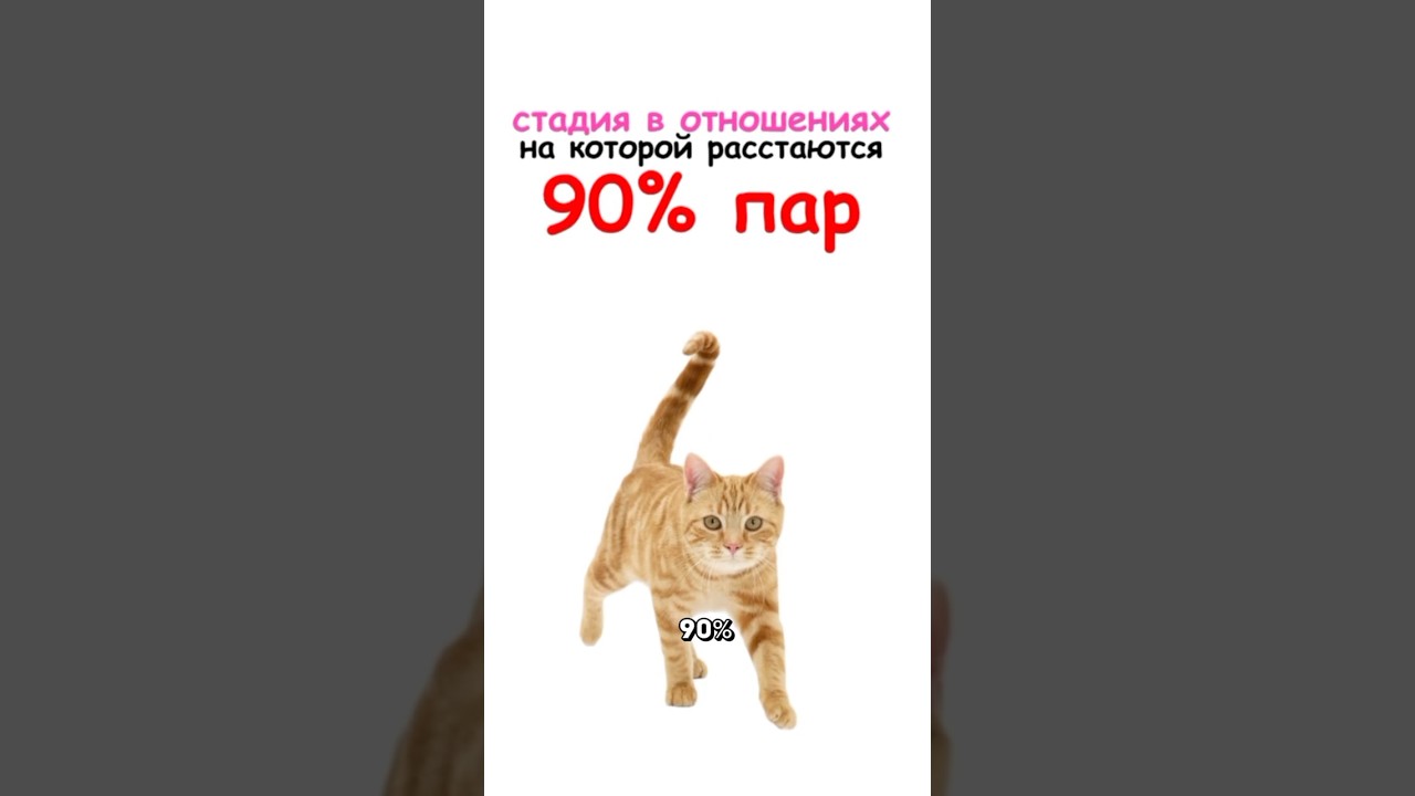 ВОТ ПОЧЕМУ 90% ПАР РАССТАЮТСЯ