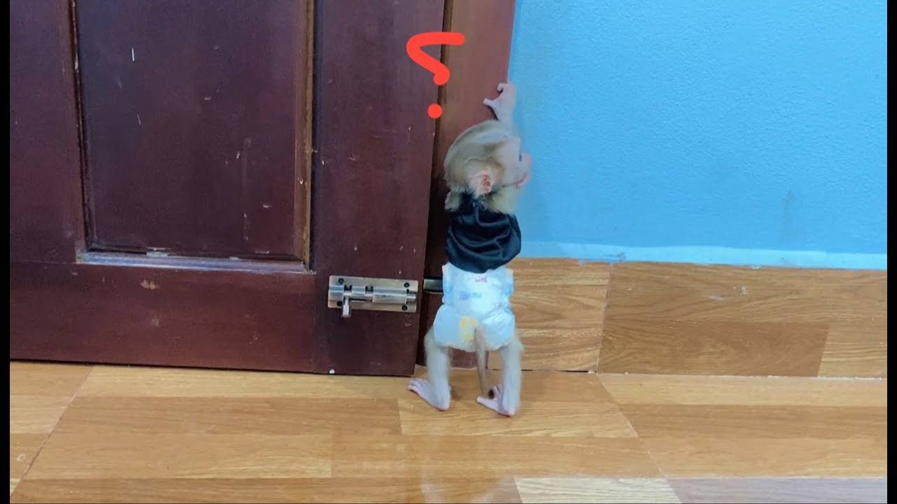 Jasmine Standinq Back Want To Call Some ONE Turn On The Door