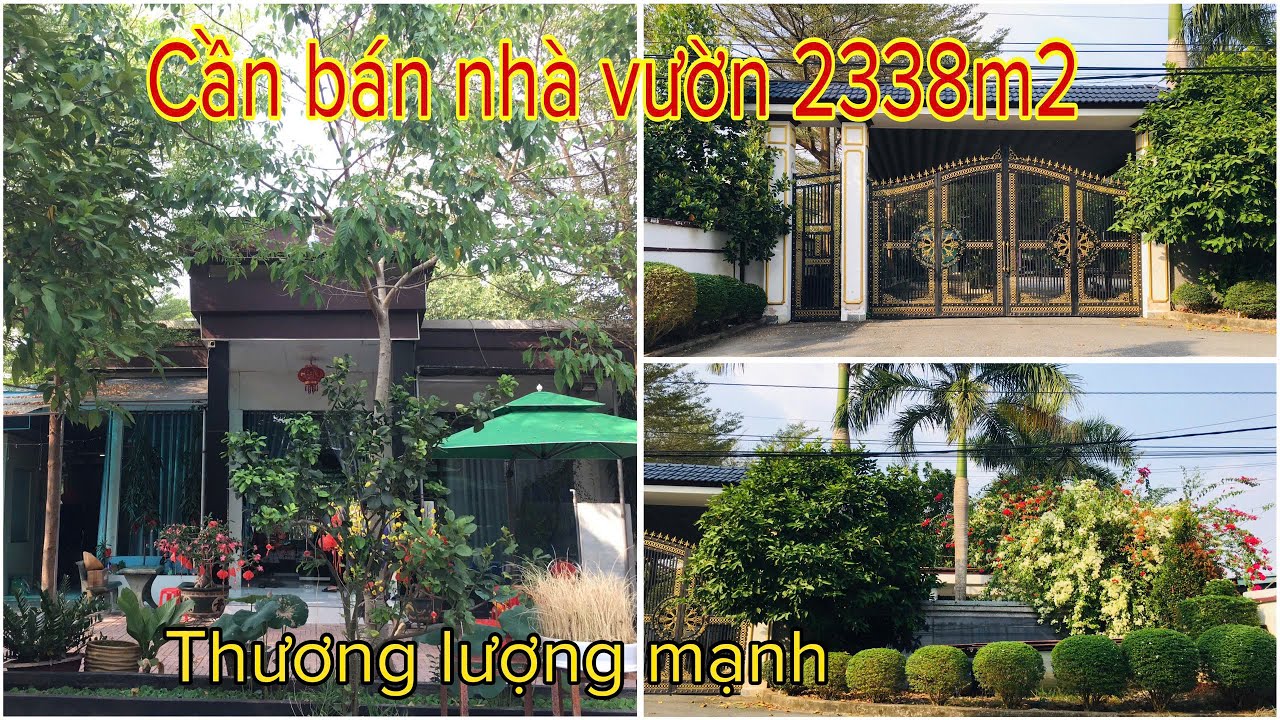 cần bán nhà vườn 2338m2 - khu nhiều biệt thự - nhà xưởng Phú Hoà Đông - Củ Chi